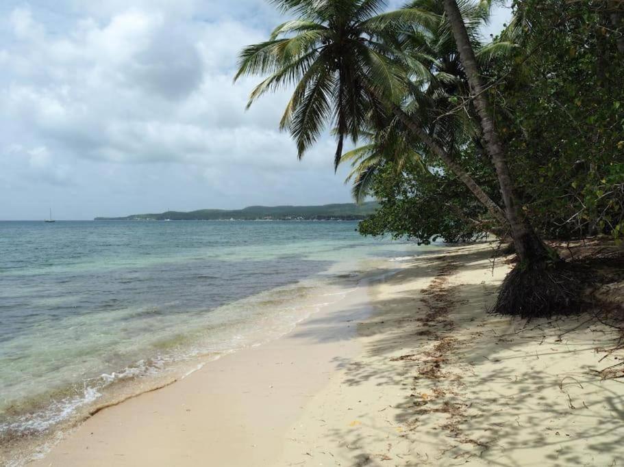 Le Blue Dream- Appartement Grand-Bourg (Marie Galante)